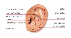 ear4